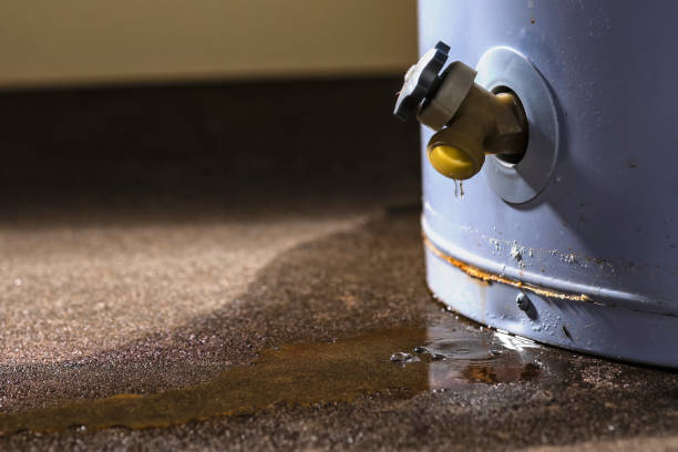 Best Residential water damage restoration  in Gatlinburg, TN