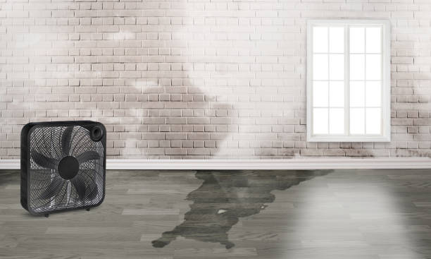 Best Water damage restoration mold remediation  in Gatlinburg, TN