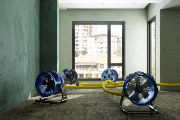 Best Ceiling water damage repair  in Gatlinburg, TN